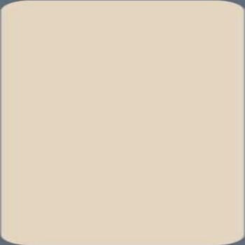 1029 SMT Almond 8 ft x 4 ft Silky Matt Finish Decorative Laminate - 1 mm