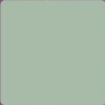 1040 SMT Sage Green 8 ft x 4 ft Silky Matt Finish Decorative Laminate – 1 mm