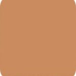 1041 SMT Ochre Brown 8 ft x 4 ft Silky Matt Finish Decorative Laminate – 1 mm