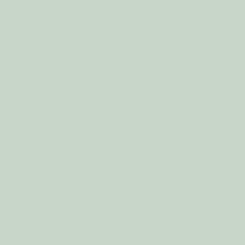 113 SF Grey 8 ft x 4 ft Plain Colour Finish Laminate - 1 mm