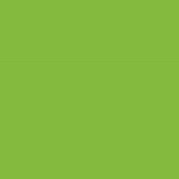 118 SF Parrot Green 8 ft x 4 ft Plain Colour Finish Laminate - 1 mm