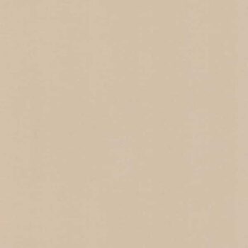 1327 Expert's Eye Plain Beige 8 ft x 4 ft High Gloss Finish Standard Laminate - 1 mm