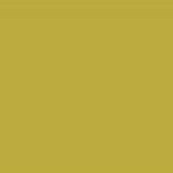164 SF Kiwi Green 8 ft x 4 ft Plain Colour Finish Laminate - 1 mm