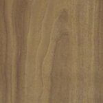 912 TW Noce Legna 8 ft x 4 ft Exotic Woods Series True Wood Finish Laminate - 1 mm