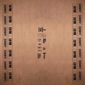 Club Prime BWP CenturyPly 8 ft x 4 ft Plywood - 19 mm