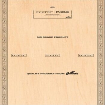 Green Ecotec MR Grade 8 ft x 4 ft Plywood - 18 mm